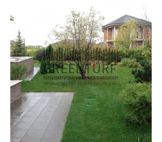 Устройство рулонного газона в коттеджном поселке - фото - 19