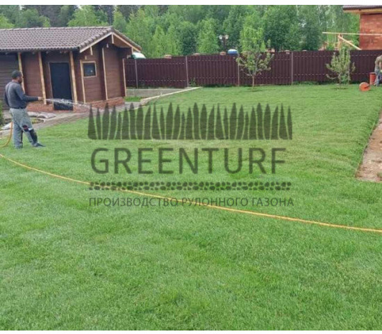 Озеленение территории Руза Фэмили Парк - фото - 1