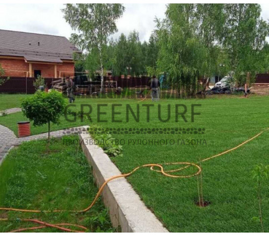 Озеленение территории Руза Фэмили Парк - фото - 3