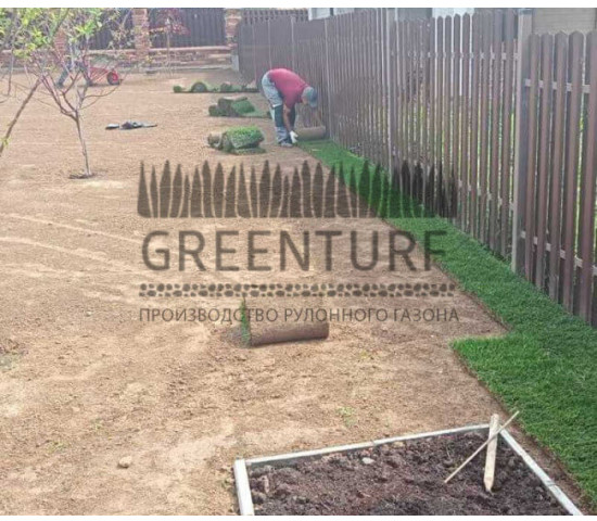 Озеленение территории Руза Фэмили Парк - фото - 5