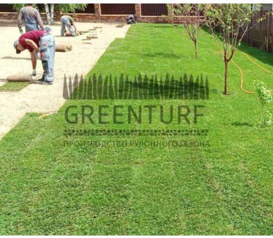 Озеленение территории Руза Фэмили Парк - фото - 8