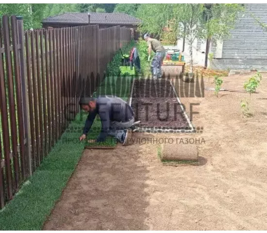 Озеленение территории Руза Фэмили Парк - фото - 10